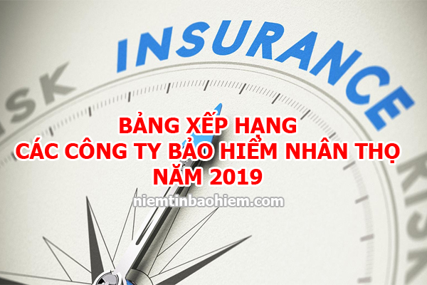 Bảng xếp hạng các cȏng ty bảo hiểm nhȃn thọ tại Việt Nam 2022
