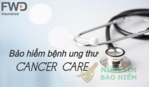 Hướng dẫn đăng ký bảo hiểm ung thư FWD đơn giản và nhanh nhất 24