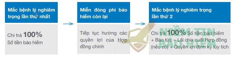 Đánh giá gói bảo hiểm an bình thịnh vượng của Bảo Việt 3