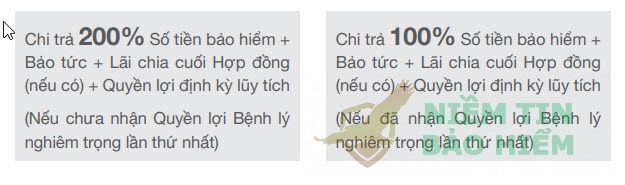 Đánh giá gói bảo hiểm an bình thịnh vượng của Bảo Việt 5