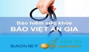 [Chi Tiết] Thông tin bảo hiểm sức khỏe Bảo Việt 4