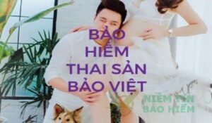 [Review] Thông tin về bảo hiểm thai sản Bảo Việt có thể bạn chưa biết 5