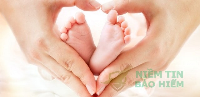 [Review] Thông tin về bảo hiểm thai sản Bảo Việt có thể bạn chưa biết 4