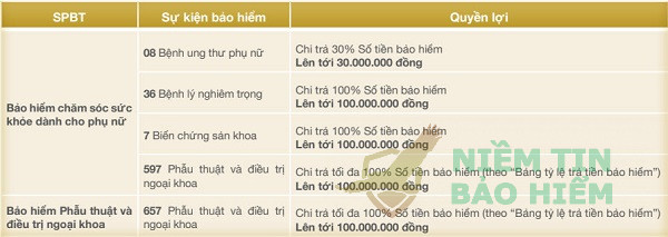 Đánh giá gói bảo hiểm trọn đời yêu thương của Bảo Việt 6
