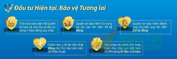 Đánh giá gói bảo hiểm an phát cát tường của Bảo Việt 1