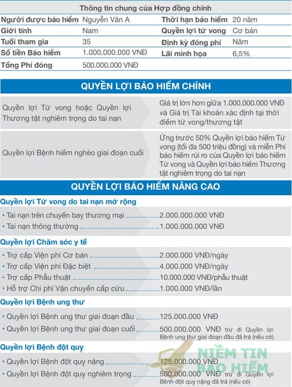 Đánh giá gói bảo hiểm an phát cát tường của Bảo Việt 4