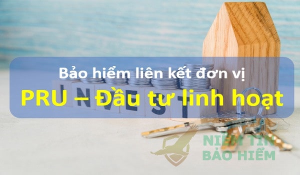 Đánh giá gói bảo hiểm Pru Đầu Tư Linh Hoạt của Prudential 21