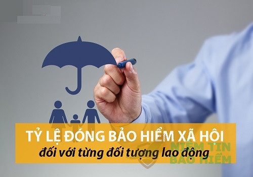 Tỷ lệ đóng bhxh và mức đóng bảo hiểm xã hội 2023 có gì mới? 25