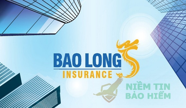 [Đánh giá] Chi tiết bảo hiểm Bảo Long có tốt không?