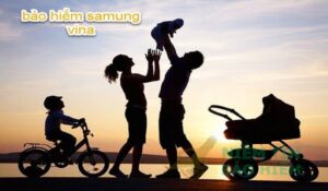 Giới thiệu chi tiết công ty tnhh bảo hiểm Samsung Vina 1