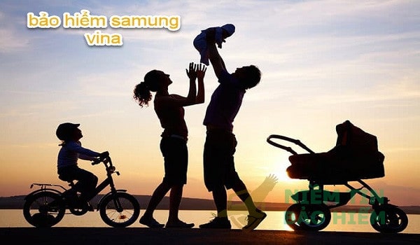 Giới thiệu chi tiết công ty tnhh bảo hiểm Samsung Vina 21
