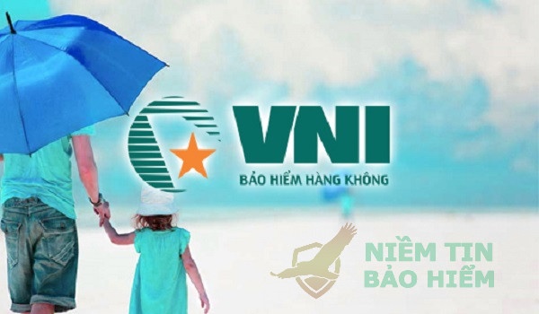 Giới thiệu chi tiết bảo hiểm VNI (bảo hiểm Hàng Không) 27