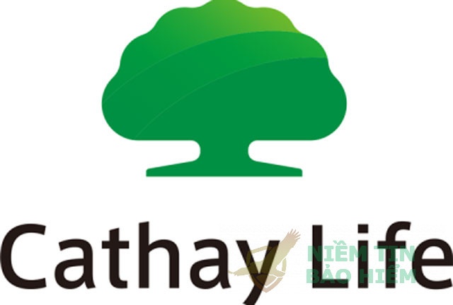 [HOT] Thực hư công ty bảo hiểm Cathay Life lừa đảo không? 1