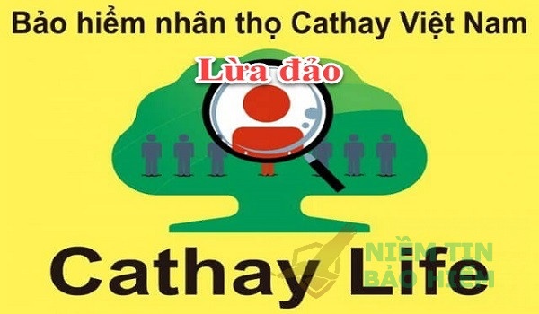 [HOT] Thực hư công ty bảo hiểm Cathay Life lừa đảo không?