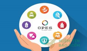 Giới thiệu công ty bảo hiểm Opes Insurance 4