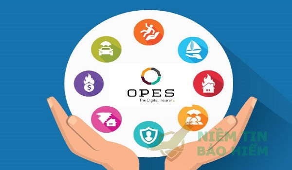 Giới thiệu công ty bảo hiểm Opes Insurance 23