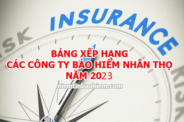 Bảng xếp hạng các công ty bảo hiểm nhân thọ tại Việt Nam 2023 1